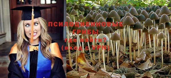 кокаин премиум Касимов