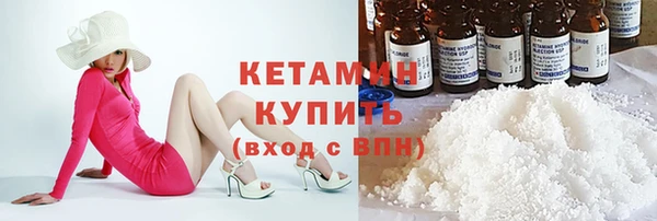 крисы Каменногорск
