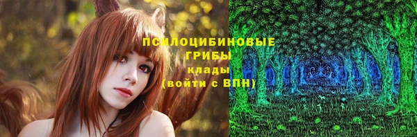 синтетический гашиш Карпинск