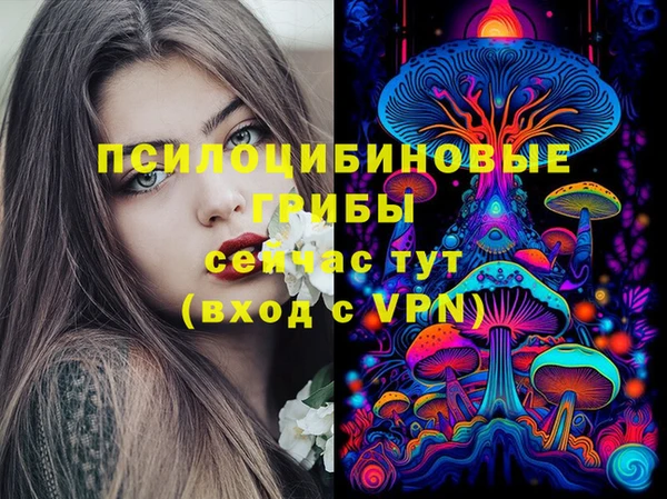 синтетический гашиш Карпинск
