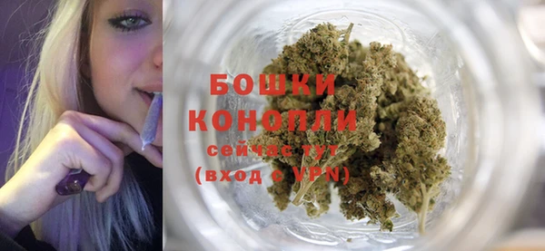 прущие грибы Каменск-Шахтинский