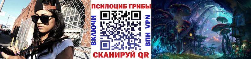Купить закладки  Балтийск  Галлюциногенные грибы Psilocybe 